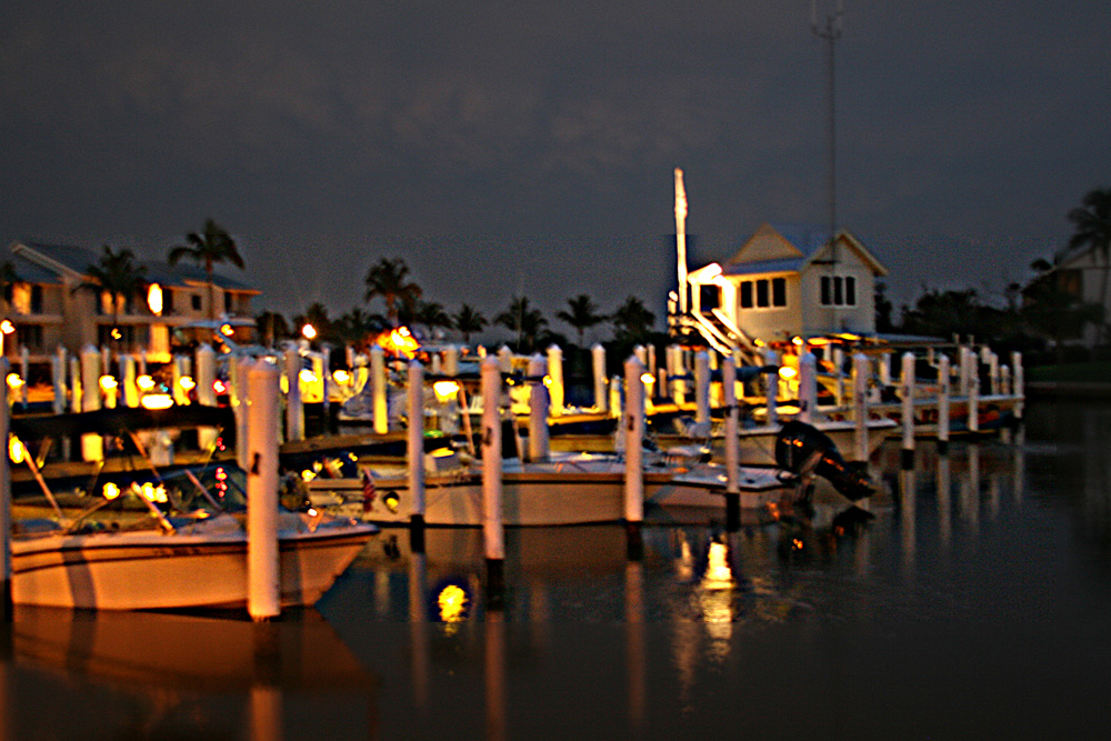 marina lights